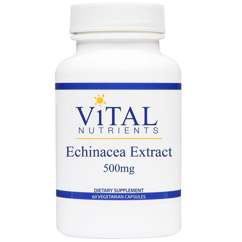 Echinacea Extract 500 mg - 60 Vegetarian Capsules