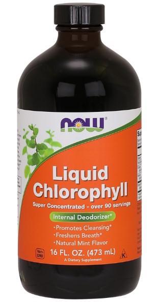Liquid Chlorophyll Mint - 16 fl oz