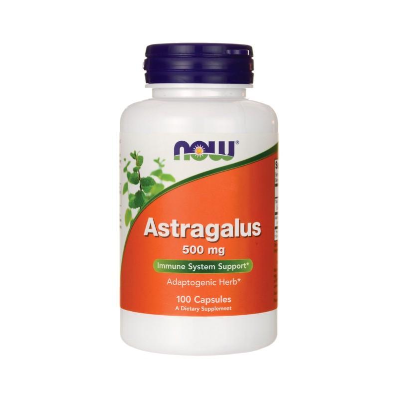 Astragalus 500 mg - 100 Capsules