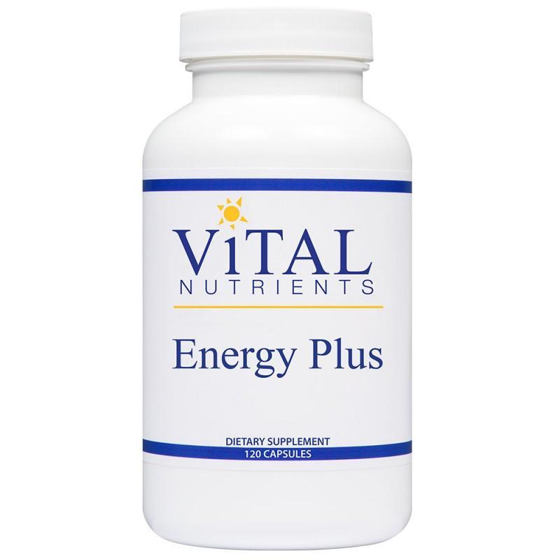 Energy Plus - 120 Capsules
