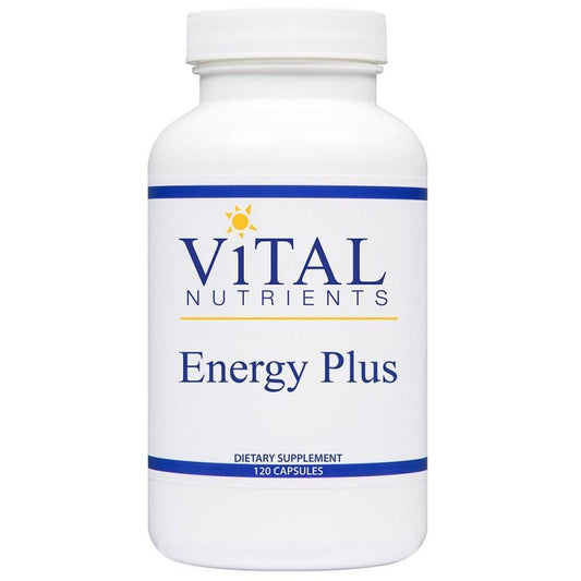 Energy Plus - 120 Capsules