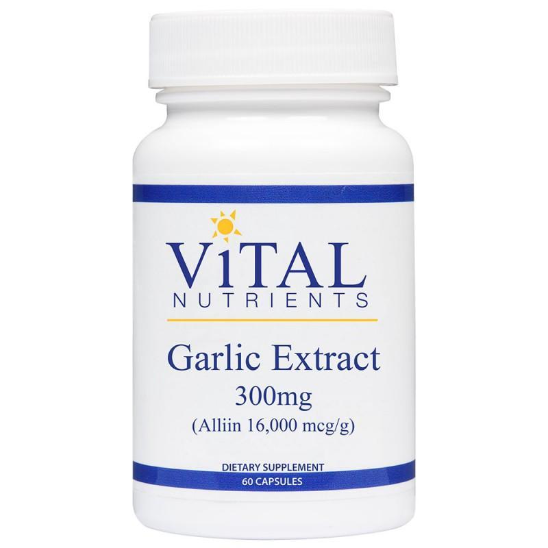 Garlic Extract 300 mg - 60 Capsules