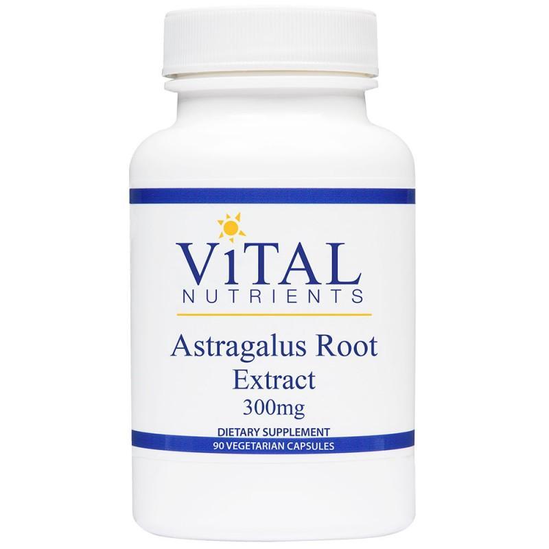 Astragalus Root Extract 300 mg - 90 Capsules