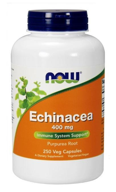 Echinacea Root 400 mg - 250 Capsules