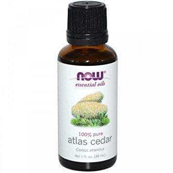 Atlas Cedar Oil - 1 fl oz
