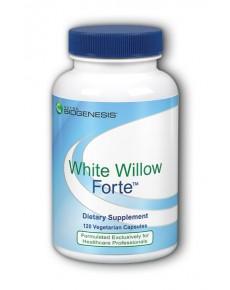 White Willow Forte - 120 Vegetarian Capsules