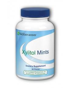 Xylitol Peppermint Mints - 90 Pieces