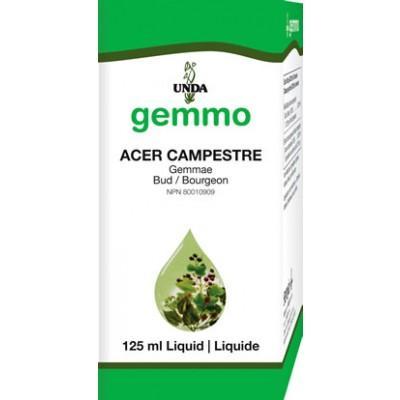 Acer Campestre - 125 ml