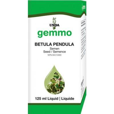 Betula Pendula Seed - 125 ml