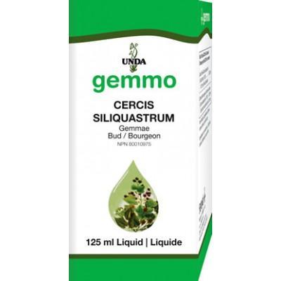 Cercis Siliquastrum - 125 ml