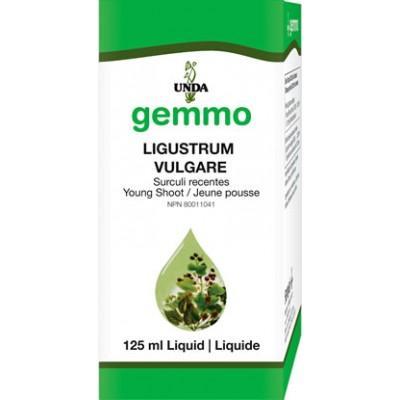 Ilex Aquifolium - 125 ml