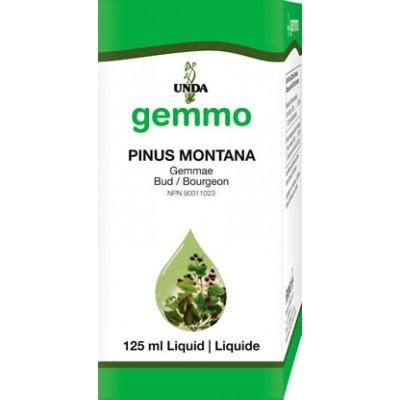 Pinus Montana Gemmotherapy - 125 ml