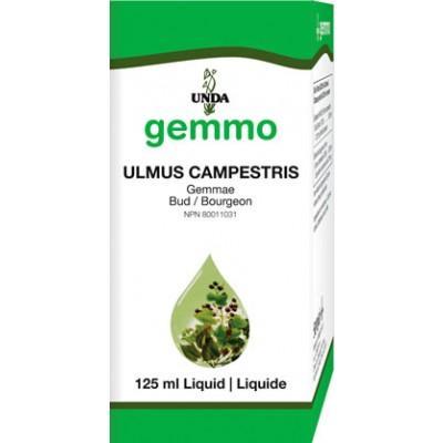 Ulmus Campestris - 125 ml