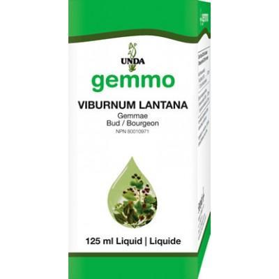 Viburnum Lantana - 125 ml